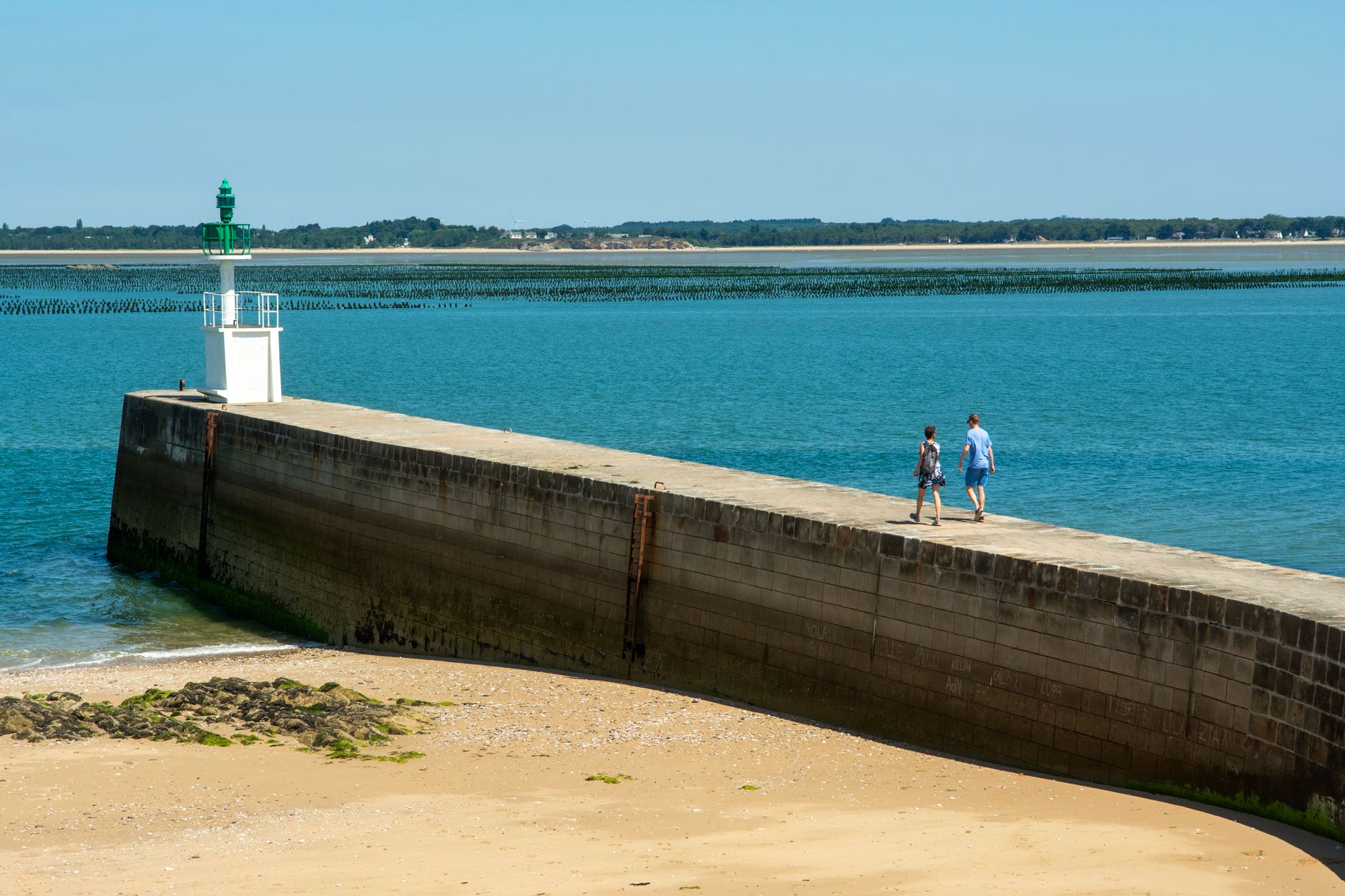 Promenade quotidienne 30 à 60 minutes : quel programme choisir